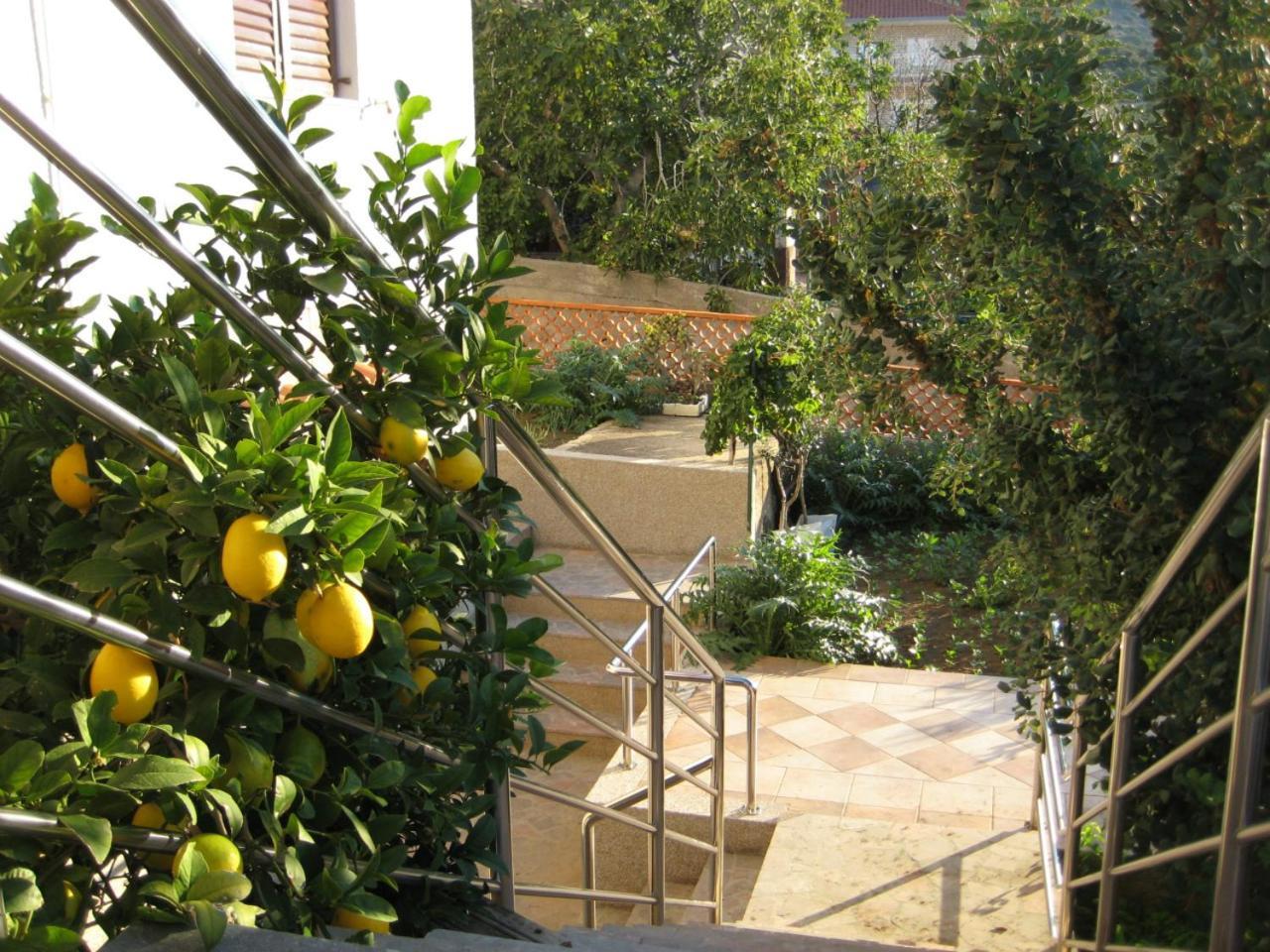 Apartments Martina Primošten Εξωτερικό φωτογραφία