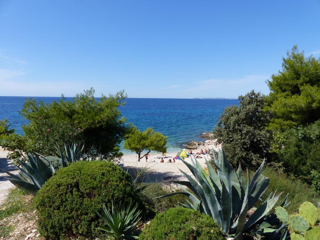 Apartments Martina Primošten Εξωτερικό φωτογραφία