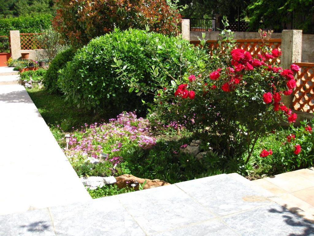 Apartments Martina Primošten Εξωτερικό φωτογραφία